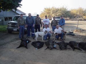 Dogs for Hunting with their Catch